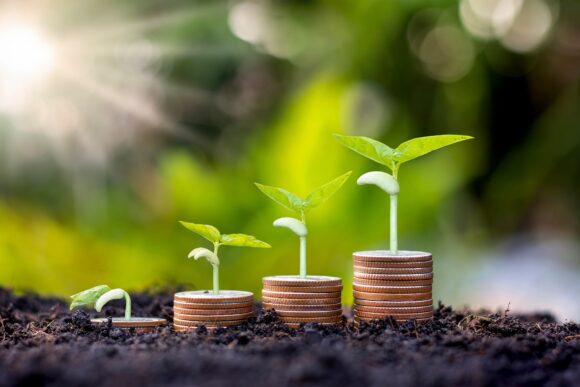 Coins and plants are grown on a pile of coins for finance and banking. The idea of saving money and increasing finances.